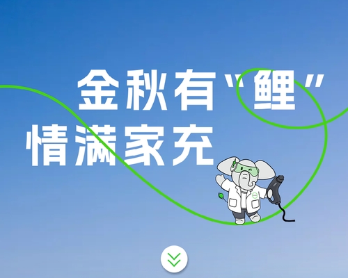 金秋有“鯉”，情滿家充