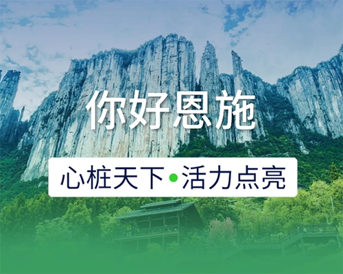 新城開埠 | 心樁天下，“電”亮恩施