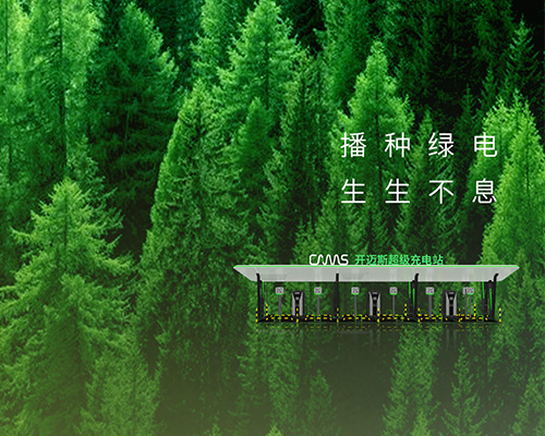 播種綠電，生生不息